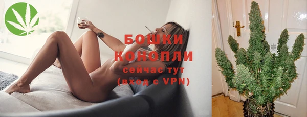тгк Дмитров