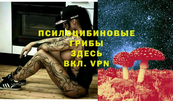 гидра Гусь-Хрустальный