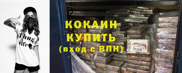 тгк Дмитров